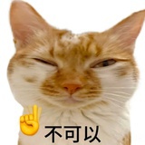 应龙