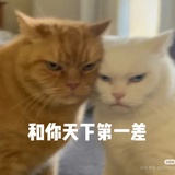 丢丢丢