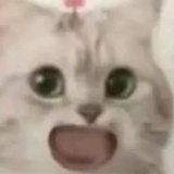 呼吸还记得