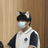 殿堂高质量鲨鱼