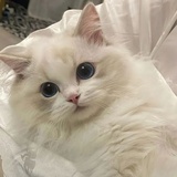 通通随便