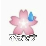 ウィニー