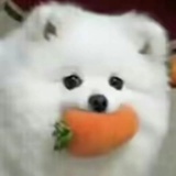 路_