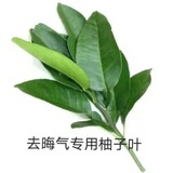 你说滴滴我说滚