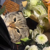 想暴富的人一枚