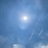 一颗大杨树