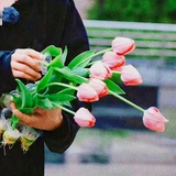 收放自如的河豚