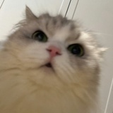 不丢不丢不丢丢