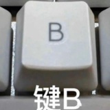 雷朋只生不养