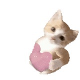 这个面包好难吃