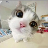 笑什么笑