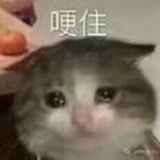 哟哈