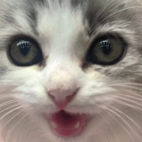 不觉得你说得对