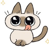 这个咪