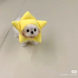 哈哈哈哈