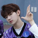 TF家族-章昊