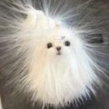每天看热闹