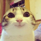 meow11-7