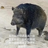 金俊勉