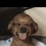 回踩版小偷