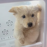 我就爱走直线