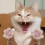 啵啵小怪