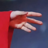 肥美的爪