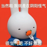 您呼叫的用户已