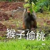 啊行啊