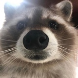 舰队
