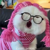 菇菇刺身
