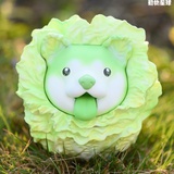 橘光