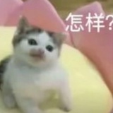 初见单推