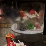 🉑磕