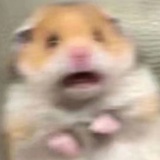 ！