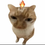 吃吃吃