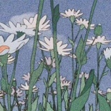 七日间