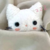拒绝香菜