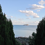 凉栀