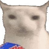 人类。