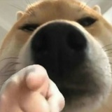 123