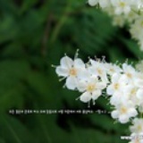 云玦