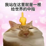 真的都一样