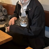 不合时宜
