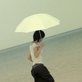 飞梦