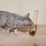 iiiiiii