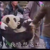 缺德有我
