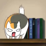 持枢
