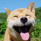 汗马
