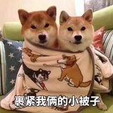 城峻